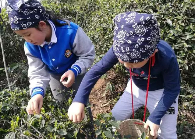 我們如何組織自己