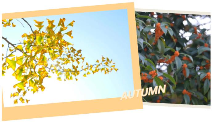 1021-428.jpg 360截圖-586520046.jpg