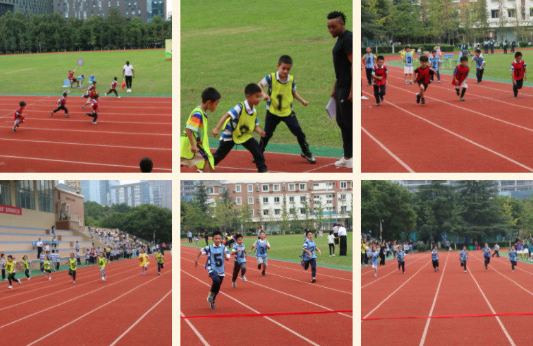 勇毅前行 悅動童心——融合部·小學第九屆運動會暨“我們是誰”超學科探究之旅