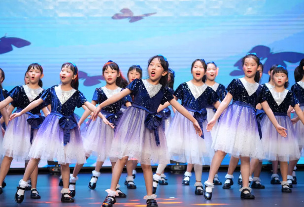 星空璀璨,藝術之光丨美視星空藝術團的榮耀時刻