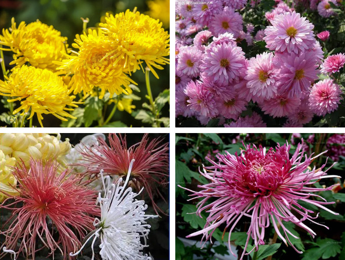 101227-7078.jpg 2024-10-12_092311.jpg