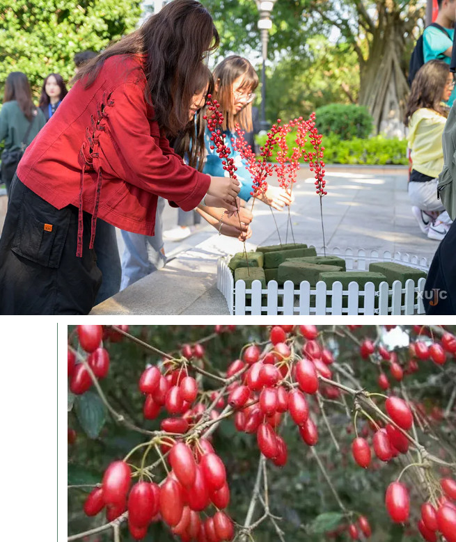 101233-1103.jpg 2024-10-12_092319.jpg