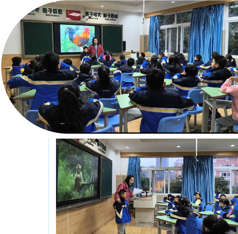 123136-9134.jpg 2024-12-31_094311.jpg