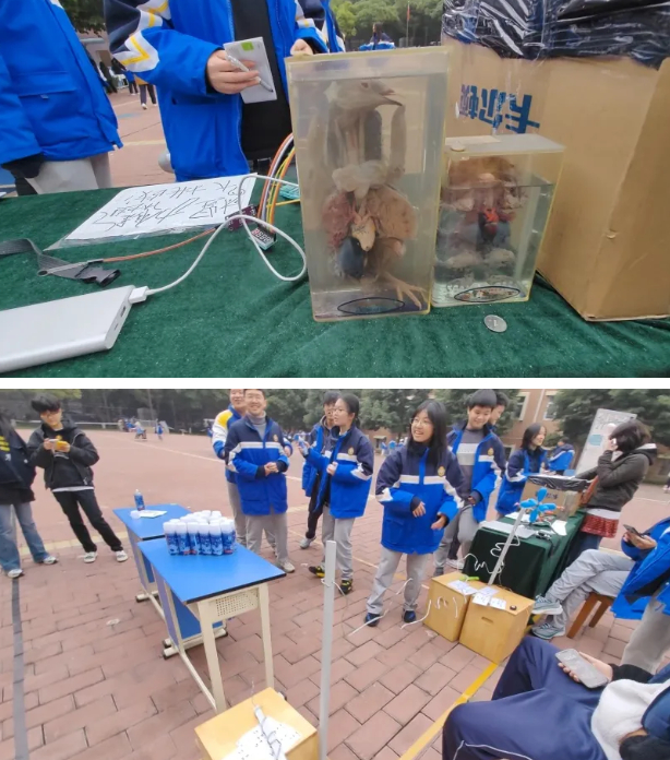 022856-6293.jpg 2025-02-28_145746.jpg