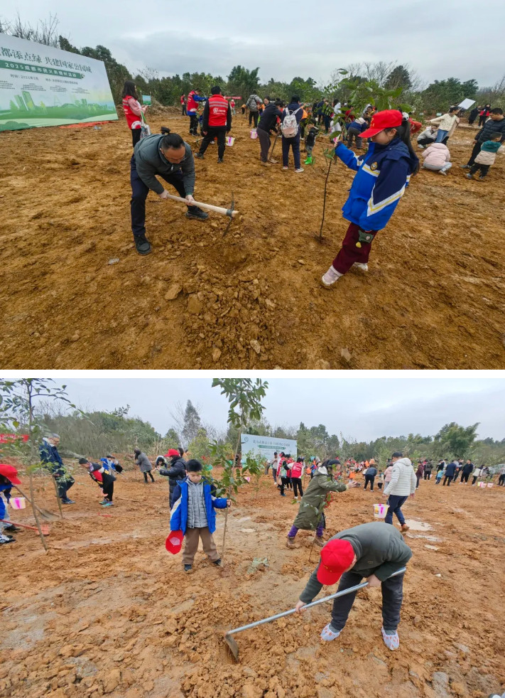 031838-1243.jpg 2025-03-18_092318.jpg