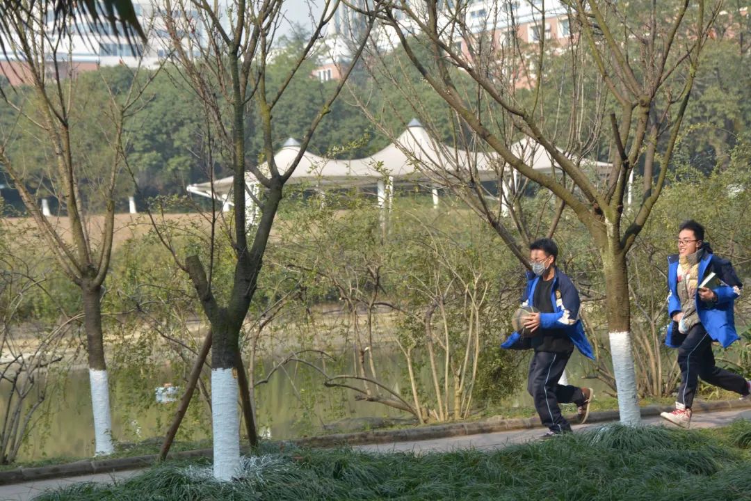 1614135334370444.jpg 圖片