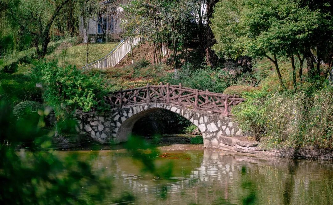 1614134589376975.jpg 圖片