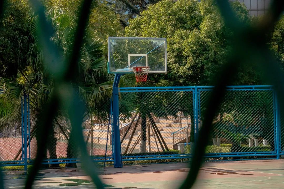 1614134590988356.jpg 圖片