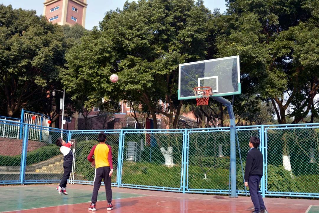 1614135335929594.jpg 圖片