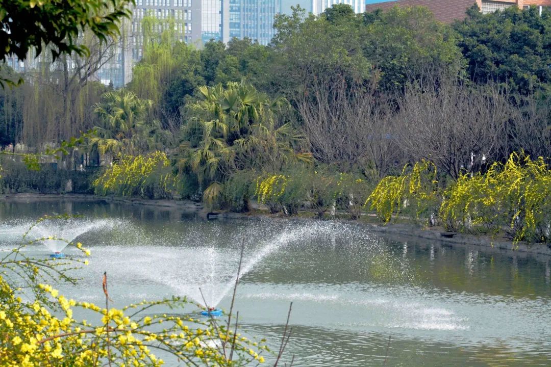 1614132834303349.jpg 圖片